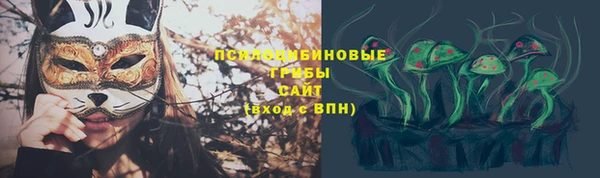 амф Богданович