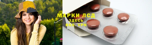 амф Богданович