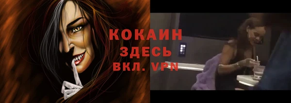 амф Богданович