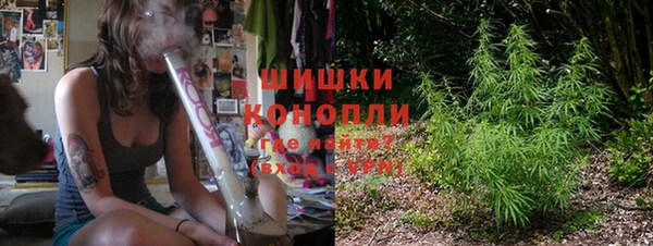 амф Богданович