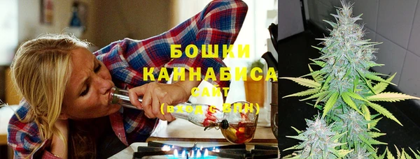 амф Богданович